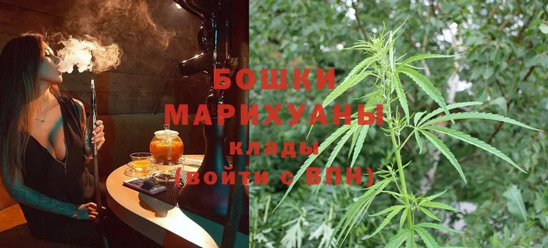 Бошки марихуана Amnesia  Котовск 